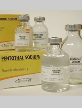 Nembutal Pentobarbital Sodium(Non-sterile 50ml)